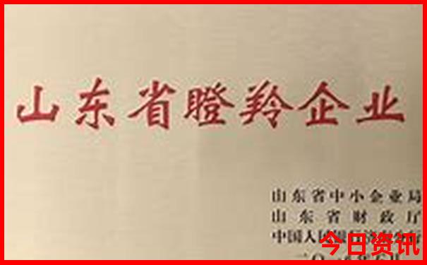 全国哪些地方夏天凉快