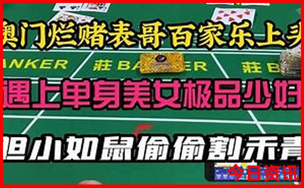 王能能个人资料简介