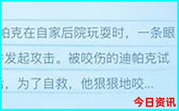 云南哪些地方值得去